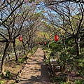 IMG_1953.jpeg