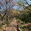 IMG_1954.jpeg