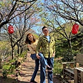 IMG_1959.jpeg
