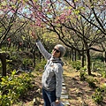 IMG_1967.jpeg