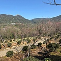 IMG_1983.jpeg