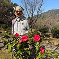 IMG_1979.jpeg