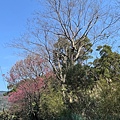 IMG_1991.jpeg