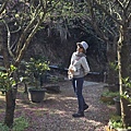 IMG_7865.jpeg