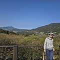 IMG_7867.jpeg