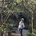 IMG_7864.jpeg