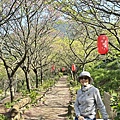 IMG_7861.jpeg