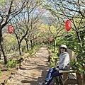 IMG_7863.jpeg