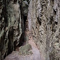 IMG_8178.jpeg