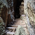 IMG_8177.jpeg