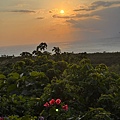 IMG_2461.jpeg