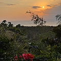IMG_2462.jpeg