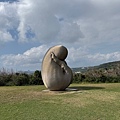 IMG_2423.jpeg