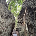 IMG_2417.jpeg