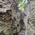 IMG_2416.jpeg