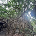 IMG_2415.jpeg