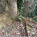 IMG_2414.jpeg