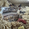 IMG_5315.jpeg