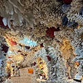 IMG_5303.jpeg