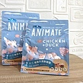 倍力BlueBay敏感貓咪的強力後盾 Animate無穀貓飼料+海島貓罐組80公克＋DIY貓屋 (60).jpg