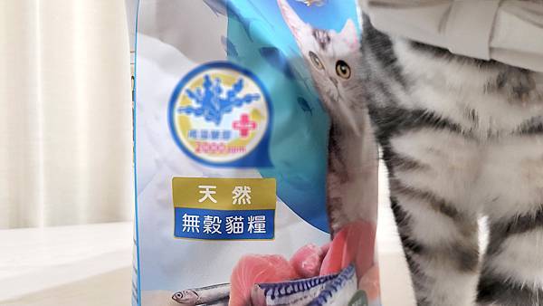 貓侍Catpool藍貓侍 天然無穀貓糧 (24)-2.jpg