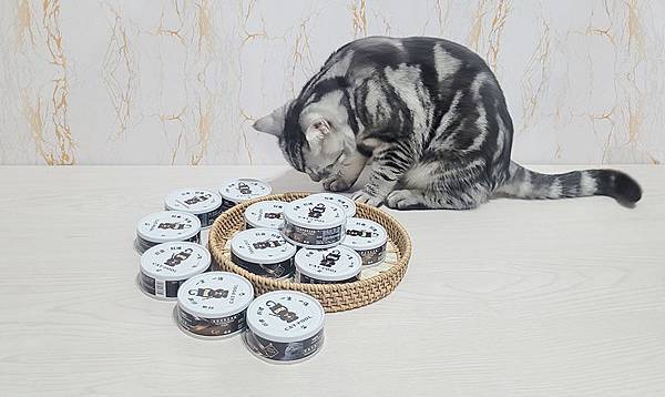 貓侍Catpool 升級版低敏食材天然主食罐開箱 (41).jpg