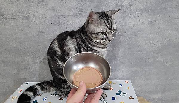 貓侍Catpool 升級版低敏食材天然主食罐開箱 (63).jpg