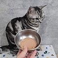 貓侍Catpool 升級版低敏食材天然主食罐開箱 (63).jpg