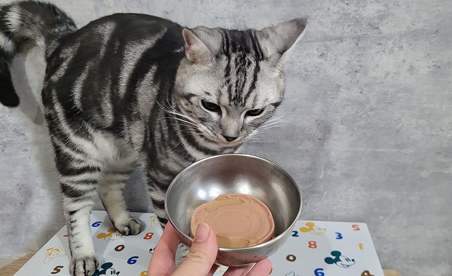 貓侍Catpool 升級版低敏食材天然主食罐開箱 (61).jpg