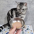 貓侍Catpool 升級版低敏食材天然主食罐開箱 (62).jpg