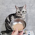 貓侍Catpool 升級版低敏食材天然主食罐開箱 (65).jpg