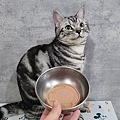 貓侍Catpool 升級版低敏食材天然主食罐開箱 (64).jpg