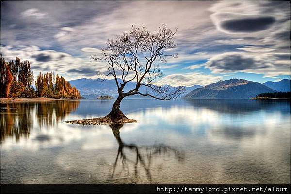 瓦納卡Wanaka