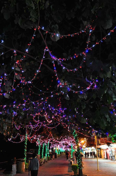 DSC_0209.JPG DSC_0209.JPG