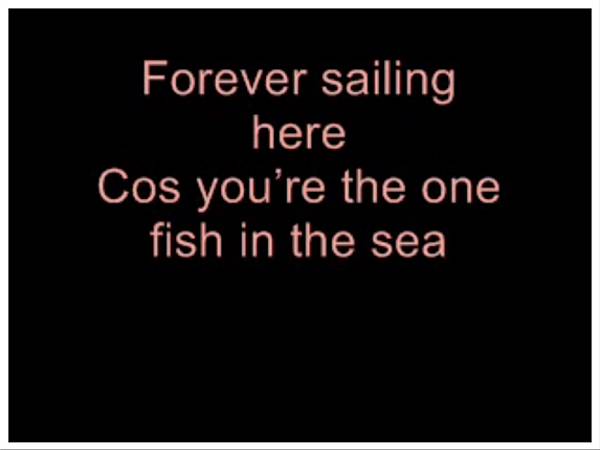 IMG-0121.JPG IMG-0121.JPG