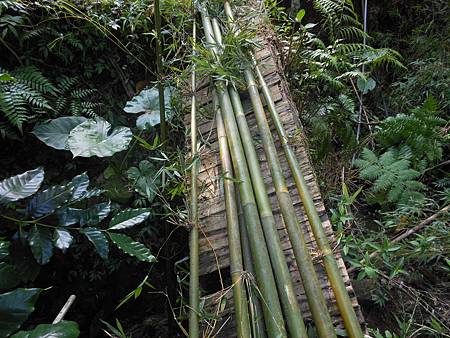 艋舺崙古道越嶺三貂嶺 219