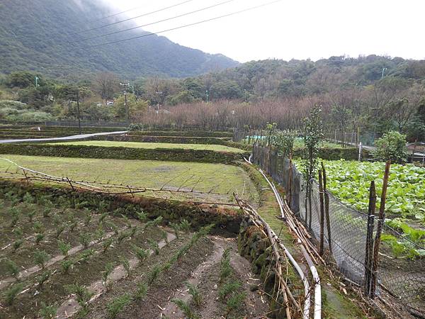 陽明山區 130