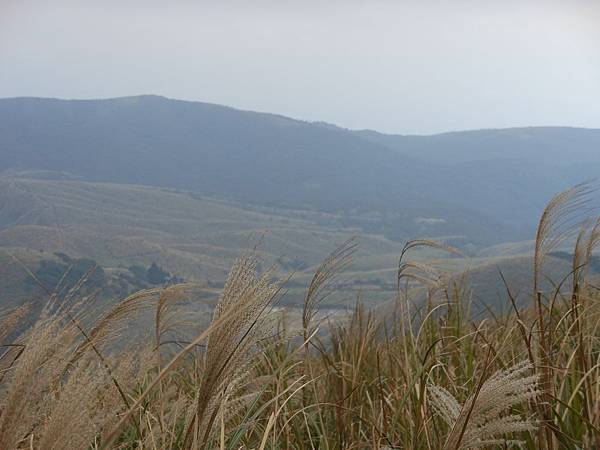 陽明山區 138