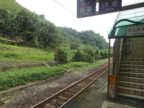 雙溪竹仔山古道 070