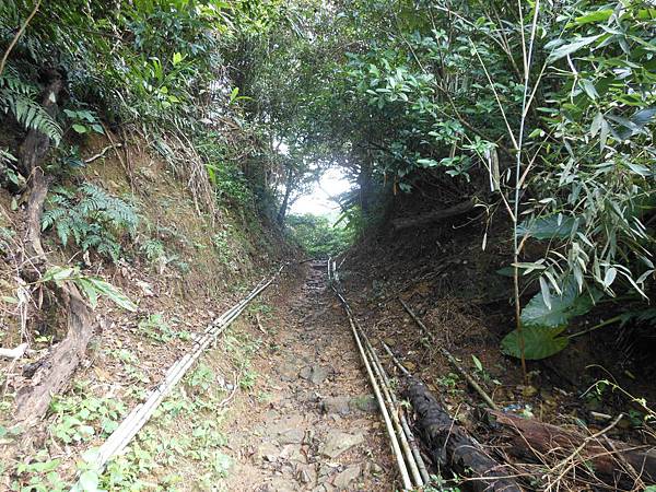 雙溪竹仔山古道 072