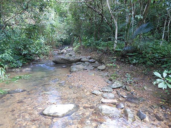 雙溪竹仔山古道 077