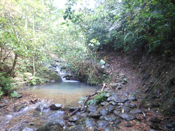 雙溪竹仔山古道 079