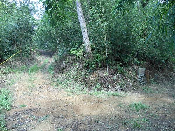 雙溪竹仔山古道 083