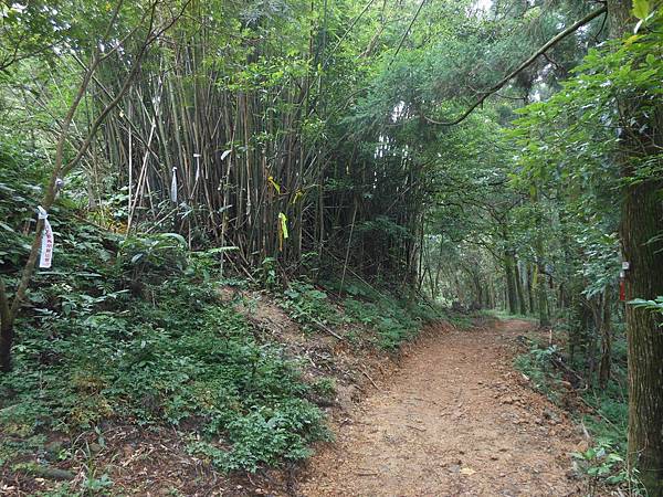 雙溪竹仔山古道 092