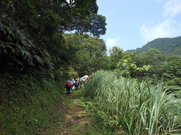 雙溪竹仔山古道 109