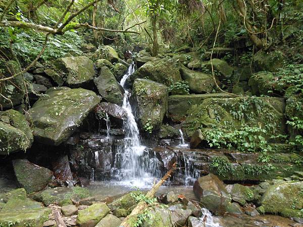 雙溪竹仔山古道 142