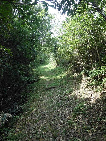 雙溪竹仔山古道 175