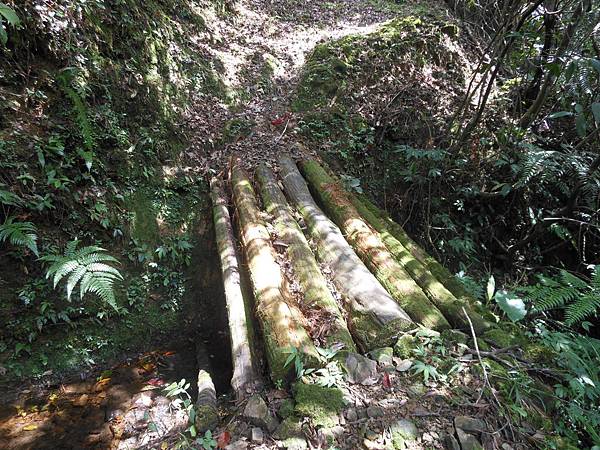 雙溪竹仔山古道 180