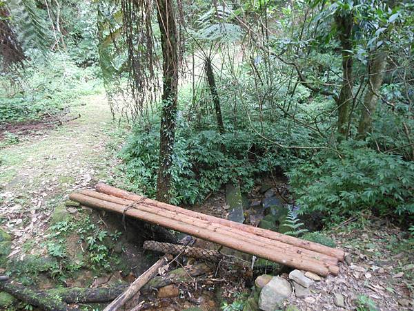 雙溪竹仔山古道 186