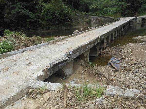 雙溪竹仔山古道 206